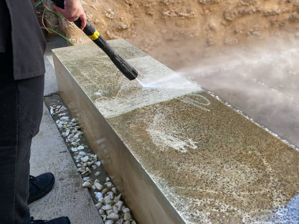 Best Pressure Washing Near Me  in Omaha, TX