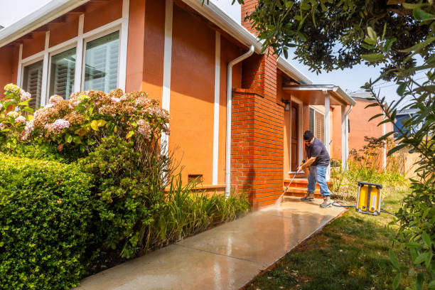 Best House Pressure Washing  in Omaha, TX